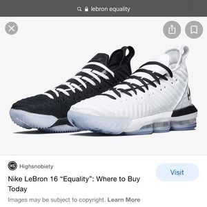 Lebron 16 Equality